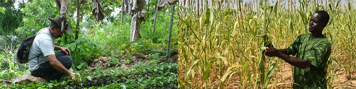 Scale for Resilience