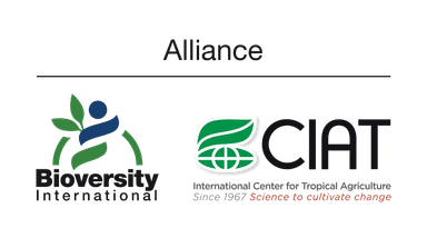 Alliance for Financial Inclusion