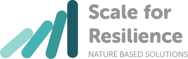 Scale for Resilience