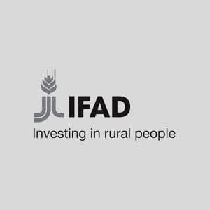 IFAD